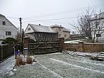 Třibřichy